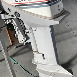JOHNSON 9.9cv